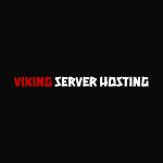 Viking Server Hosting
