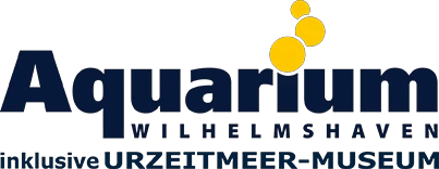 Baufix-online Gutscheine & Rabatte 