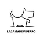 Lacamademiperro