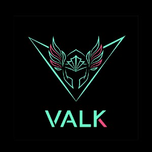 VALK Gaming