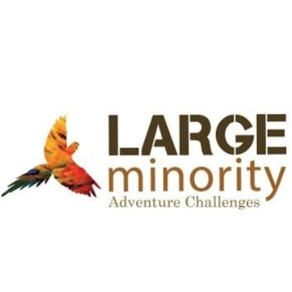Large Minority Travel