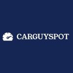 Carguyspot